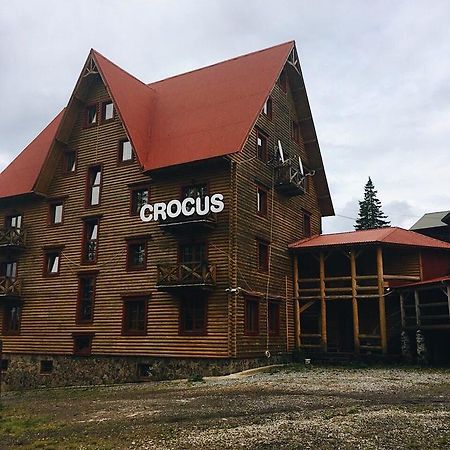 Hotel Crocus Dragobrat Zewnętrze zdjęcie